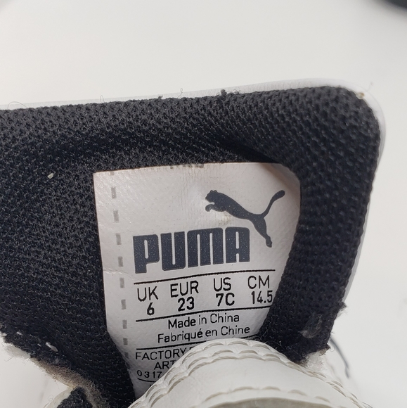 Pumas - Picture 5 of 9